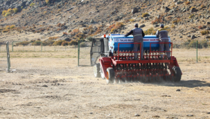 Talas Belediyesi'nin Mera hassasiyeti