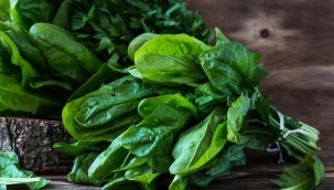 Tarım ilacı mı? Güzelavrat mı?