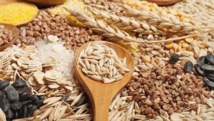 Tarım sektöründen rekor ihracat