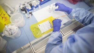 Türkiye'de yılda yaklaşık 19 bin kadın meme kanserine yakalanıyor