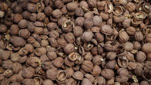 Türkiye'nin cevizde üretimi kadar tüketimi de artıyor 