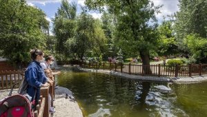 Türkiye'nin kuzey ve iç kesimlerinde hava sıcaklığı 2-5 derece artacak