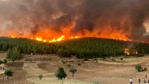 Uzmanlardan iklim senaryolarına uygun 'yangın eylem planı' önerisi