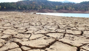 Yürek sızlatan görüntü! Yüzde 9'a kadar geriledi