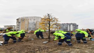Ankara'daki hatıra ormanında Başak Cengiz'in ismi yaşatılacak