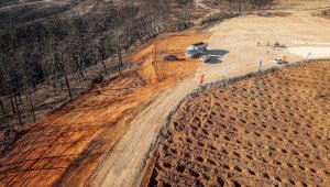 Antalya'daki orman yangınının izlerini silecek ilk fidan yarın toprakla buluşacak