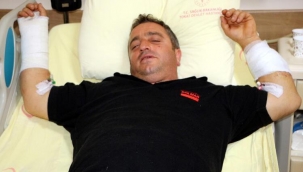 Ayıyla güreşti, söyledikleri pes dedirtti: Beni bu hale getirdi ama bir de siz ayıyı görün