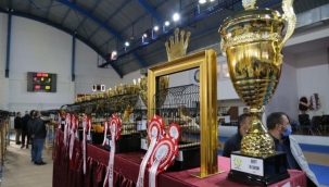 Balıkesir Edremit'te Yorkshıre Güzellik Yarışması yapıldı 