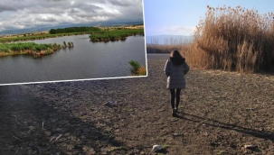 Bataklığa dönen 'kuş cenneti' Gölünyazı'nın görüntüsü yürekleri burkuyor