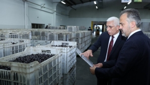 Bursa Büyükşehir'den Marmarabirlik'e hasat ziyareti