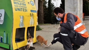Bursa'da Yıldırım Belediyesi can dostlarına yuva olmayı sürdürüyor