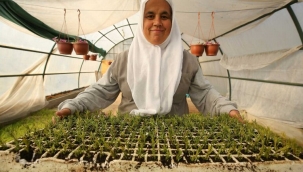 Bursa Nilüfer kendi bitkisini üretiyor