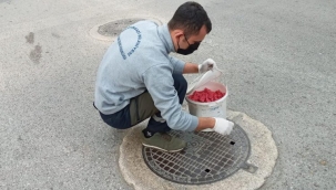 Bursa Osmangazi'de haşereler için ilaçlama 