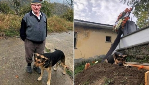 Büyük vefa! Ölen sahibinin mezarından ayrılmıyor