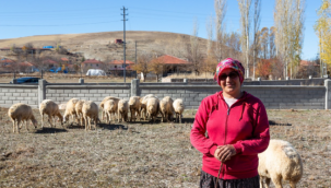 Büyükkılıç'ın projesi ile koyunlar arttı, meralar şenlendi