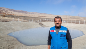 Büyükşehir'den hayvancılığa 