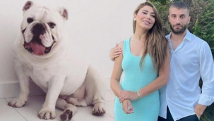 Ebru Şancı köpeği Thedore'u kaybetti!