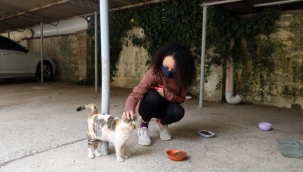 Gaziantep'te dehşete düşüren olay! İsyan etti: 'Kaç canı daha bu şekilde öldürecekler'