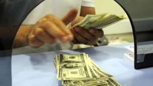 Hazine'den yeni döviz kararı: 100 dolar ve üstüne zorunlu...
