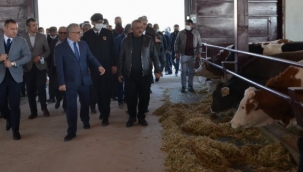 Hibe desteği ile kurulan işletme faaliyete geçti