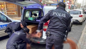 İtilerek götürüldüğünü görünce durdurdular! Suç üstüne suç