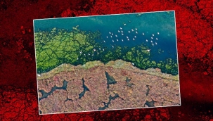 İzmir'de şaşırtan manzara! Görenler bir daha baktı