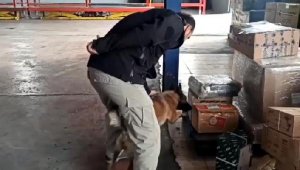 Kargo paketinde uyuşturucu sevkiyatına polis engeli