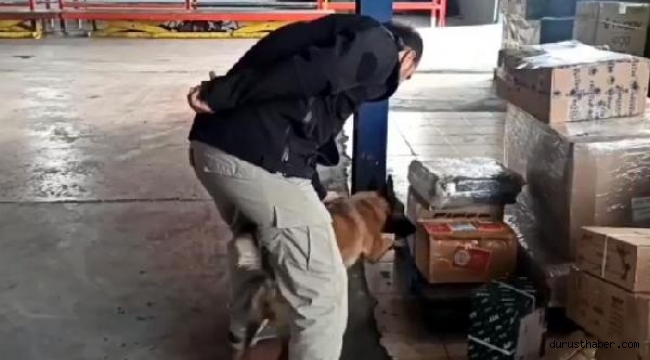 Kargo paketinde uyuşturucu sevkiyatına polis engeli