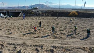 Kayseri Büyükşehir Belediyesi 15 bin fidanı toprakla buluşturdu 