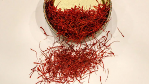 Kilosu 50 bin lirayı bulan safranı, at kılıyla taklit ediyorlar