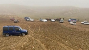 Kırıkkale'de şafak vakti 'köpek dövüşü' operasyonu