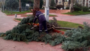 Kocaeli'nde zarar gören ağaçlar budandı 