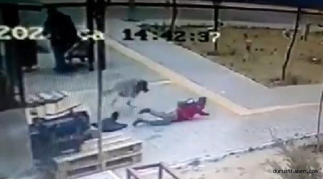 Köpekten kaçan çocuğun düşme anı kamerada