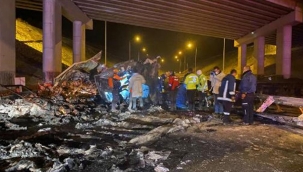 Köprüden düşen TIR, alev alev yandı: 2 ölü, 1 yaralı