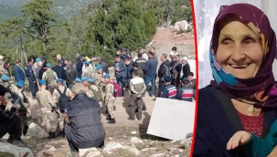 Mantar toplamaya gitti, ormanda kayboldu! Komandolar da arıyor