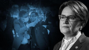 MHP'li kadın milletvekillerinden İYİ Parti Milletvekili Lütfü Türkkan'a tepki! Akşener'in tutumu da eleştirildi