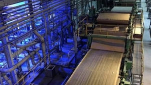 Sektörün kazananı karton oldu