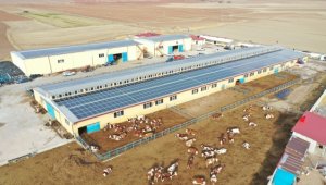 Sivas'ta kırsalda 392 proje için 71 milyon lira harcandı 