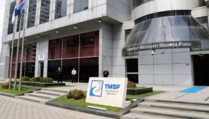 TMSF iki şirketi satışa çıkardı