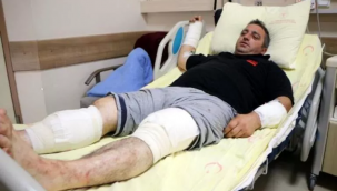 Tokatlı çiftçi ayıyla güreşti: Bir de siz ayıyı görün!