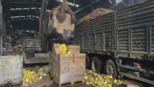 Alkolden, tütüne; İstanbul'da ele geçirilen 310 ton madde imha edildi