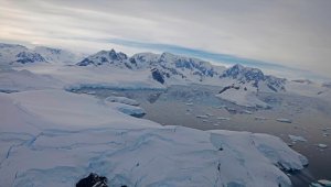 Artan ziyaretçiler Antarktika'nın el değmemiş doğasını tehdit ediyor