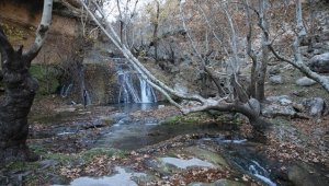 Bertür Vadisi ve Kayaboyun Şelalesi her mevsim ziyaretçilerini cezbediyor