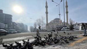 Doğu Anadolu'da soğuk hava ve sis hayatı olumsuz etkiliyor