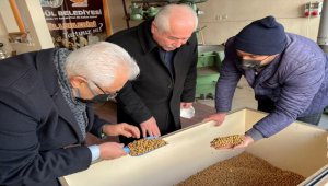 Güdül'de leblebicilere belediyeden ambalaj desteği