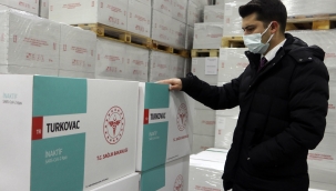 İlk Turkovac aşılarının analizi başladı