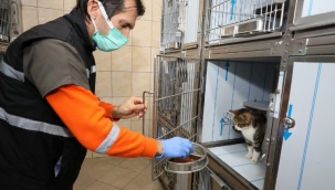 İzmir Gaziemir'de tüm kafesler yenilendi 