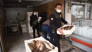 Kayseri'de kaçak avlanan 1 ton 290 kilo balığa el konuldu