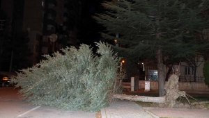 Kayseri'de şiddetli rüzgar etkili oldu