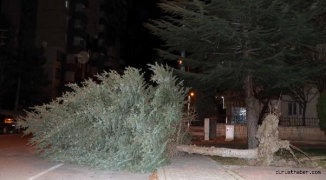 Kayseri'de şiddetli rüzgar etkili oldu